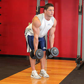 Bent Over Two-Dumbbell Row With Palms In thumbnail image