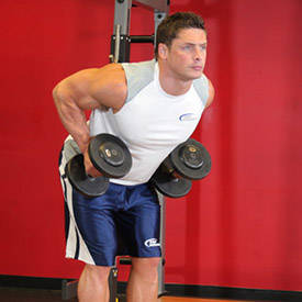 Bent Over Two-Dumbbell Row With Palms In thumbnail image