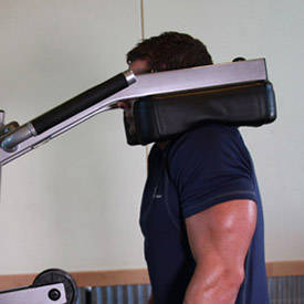 Calf-Machine Shoulder Shrug thumbnail image