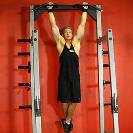 Rocky Pull-Ups/Pulldowns thumbnail image