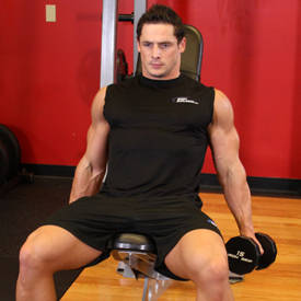 Flexor Incline Dumbbell Curls thumbnail image