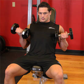 Flexor Incline Dumbbell Curls thumbnail image