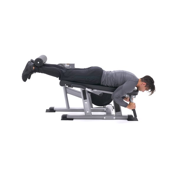 Lying Leg Curls thumbnail image