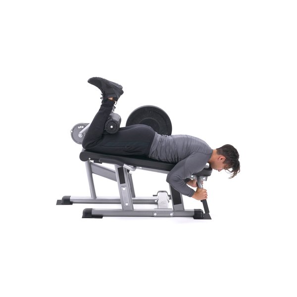 Lying Leg Curls thumbnail image