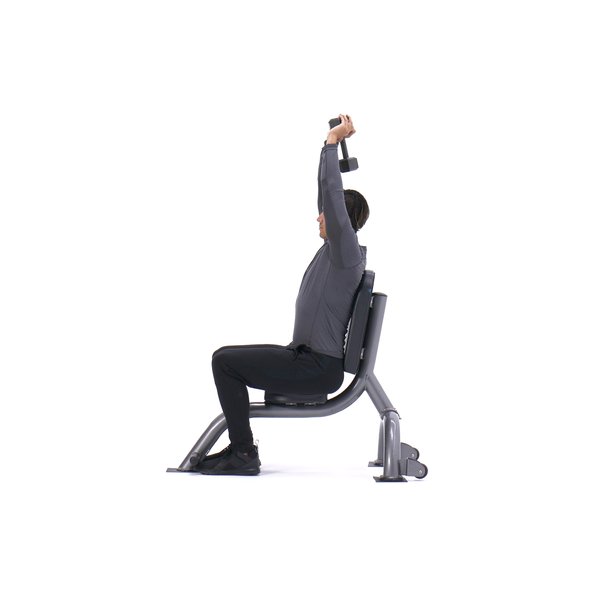 Seated triceps press thumbnail image